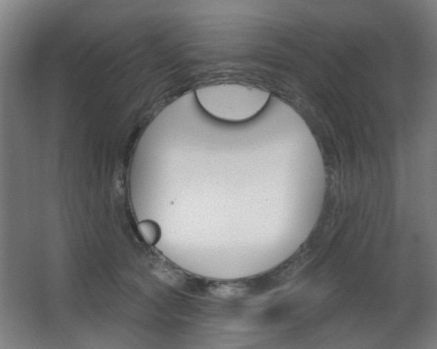 X0000063480561200601201028