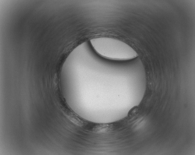 X0000063480563200601201028