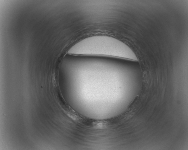 X0000063480564200601201028