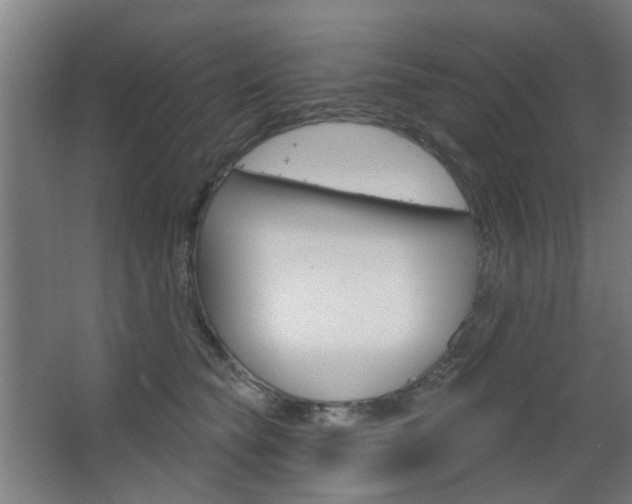 X0000063480565200601201028