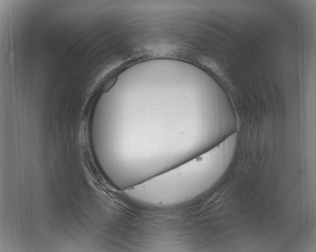X0000063480583200601201027