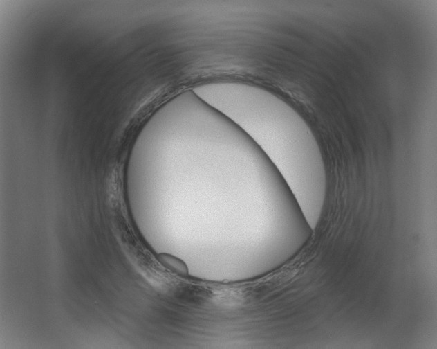 X0000063480591200601201027