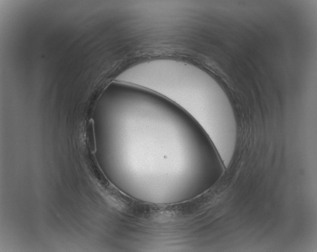 X0000063480593200601201027