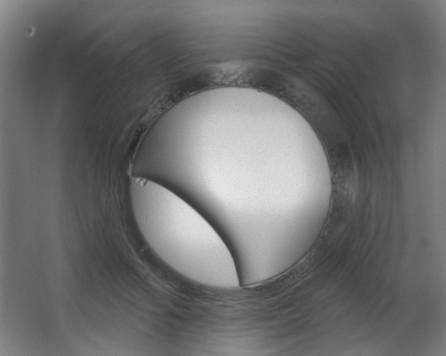 X0000063480602200601201027