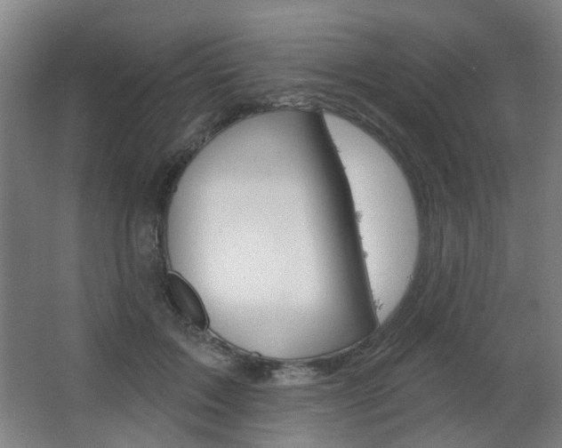X0000063480603200601201027