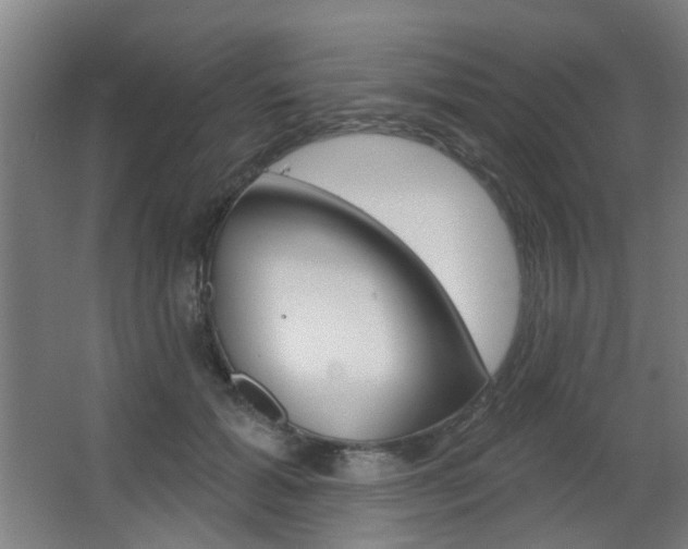 X0000063480605200601201027