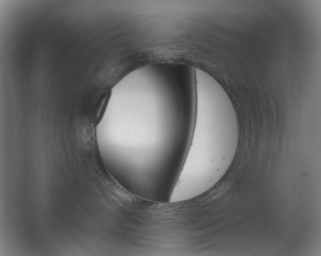 X0000063480624200601201026