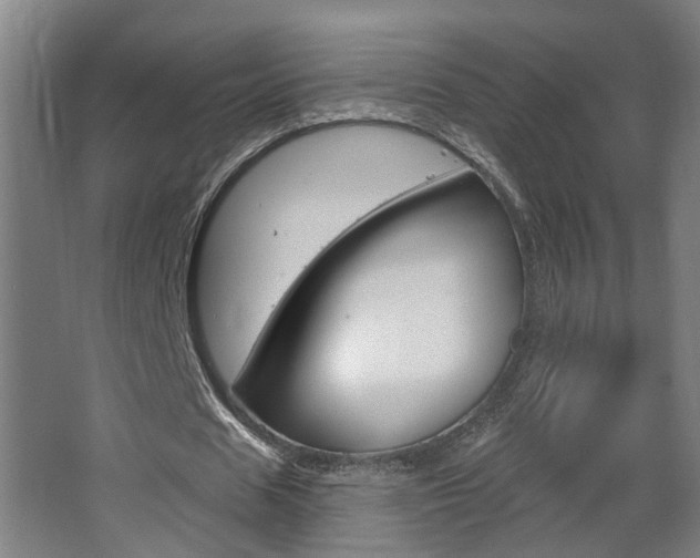 X0000063480625200601201025