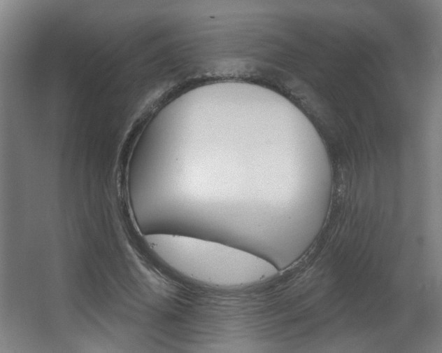 X0000063480636200601201026