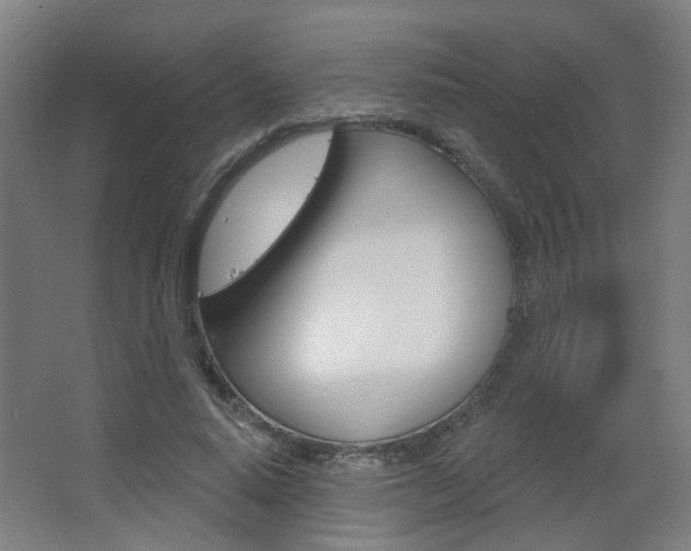 X0000063480640200601201026