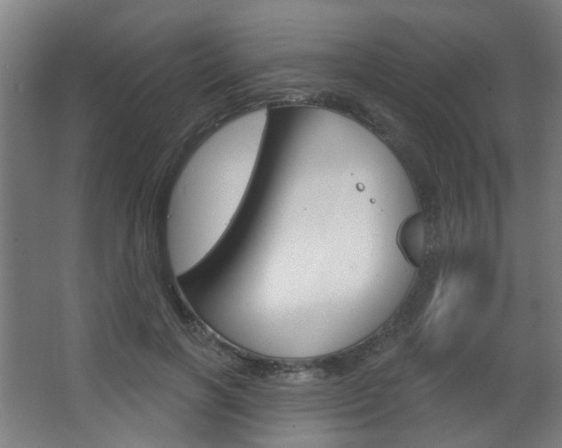 X0000063480646200601201026