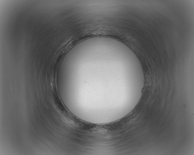X0000063480648200601201026