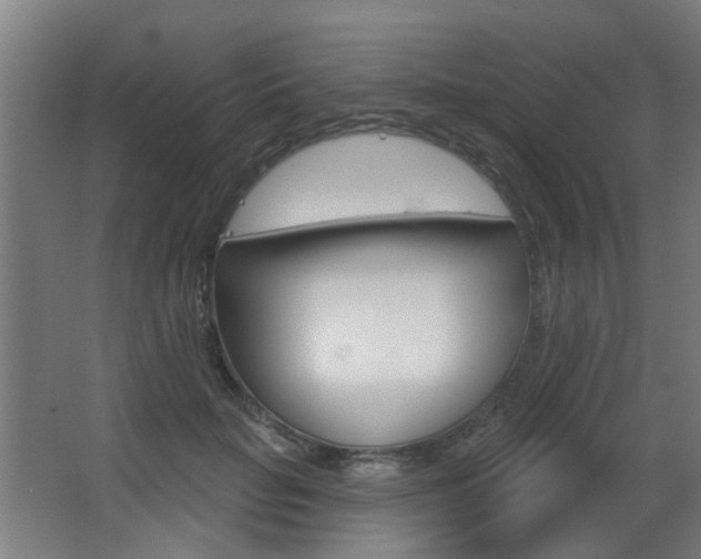 X0000063480653200601201026