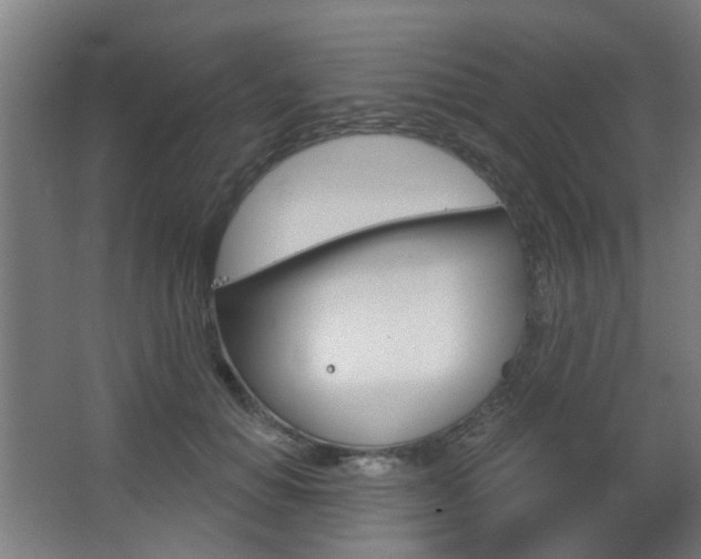 X0000063480654200601201026