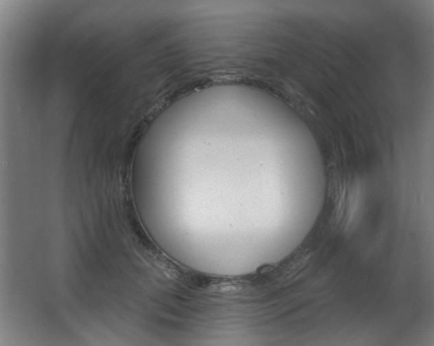 X0000063480655200601201026