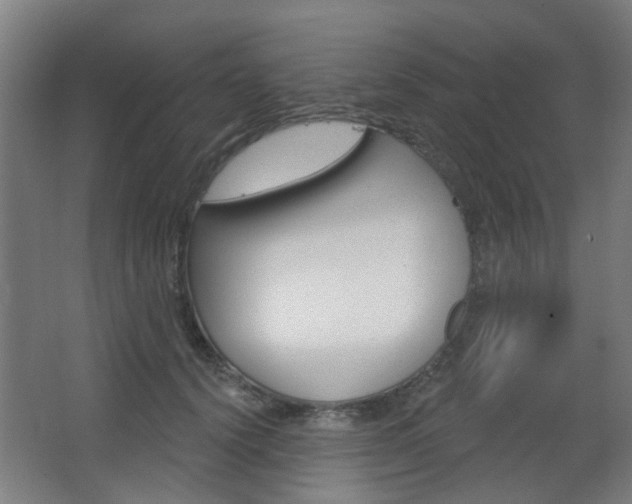 X0000063480656200601201026