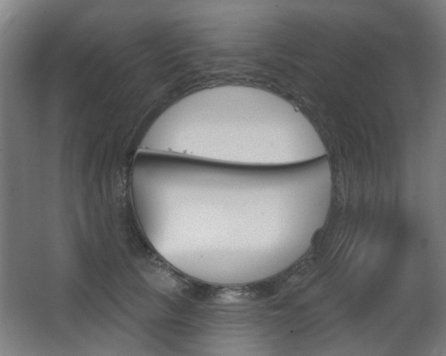 X0000063480657200601201026