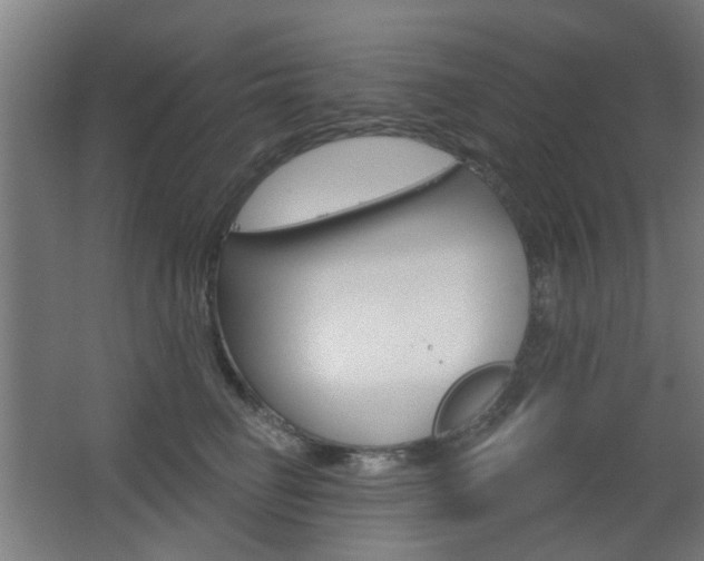 X0000063480662200601201026