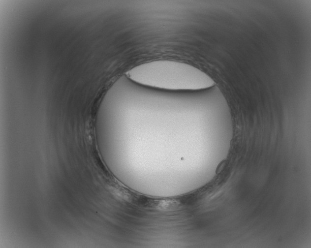 X0000063480663200601201026