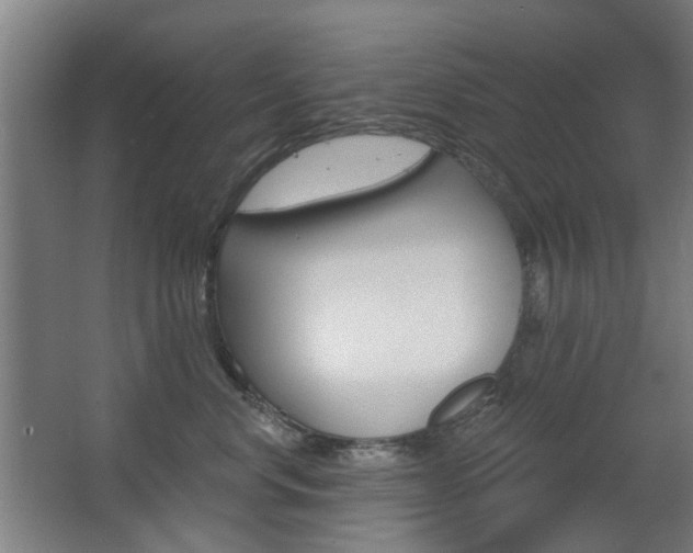 X0000063480668200601201026