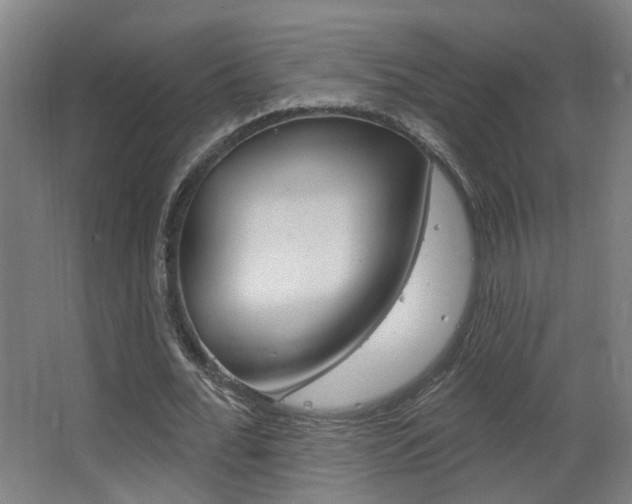 X0000063480676200601201025