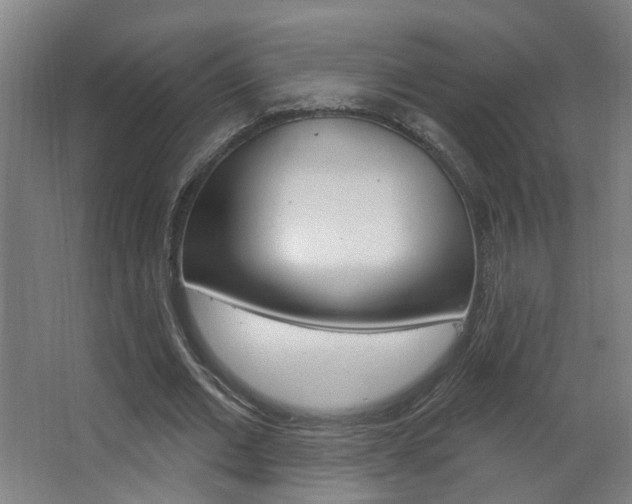 X0000063480677200601201025