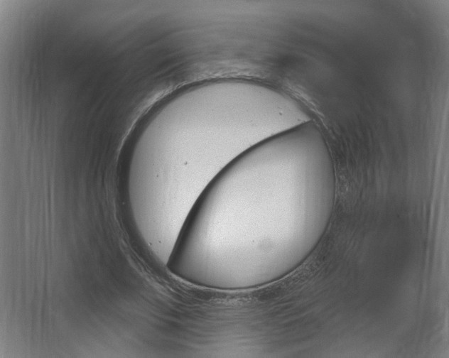 X0000063480679200601201025