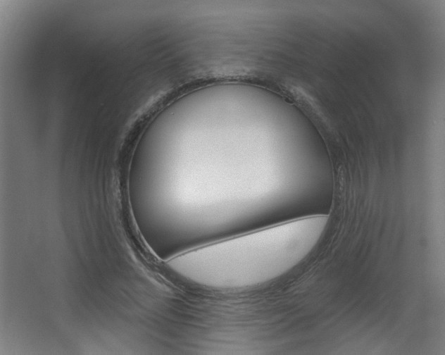 X0000063480684200601201025