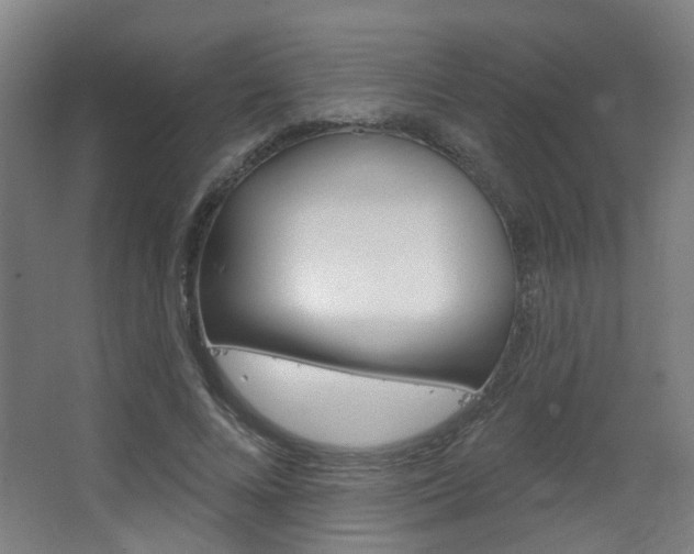 X0000063480688200601201025