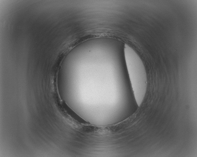 X0000063480696200601201025