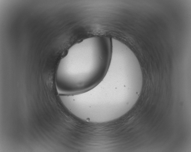 X0000063480697200601201025