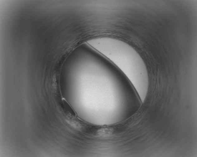 X0000063480700200601201025