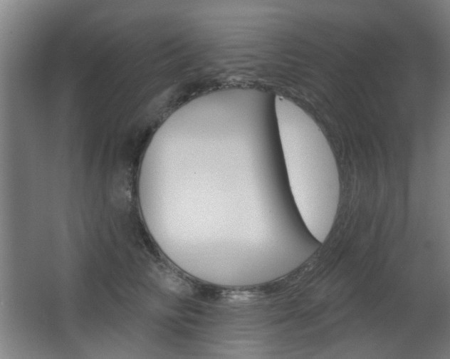 X0000063480710200601201025
