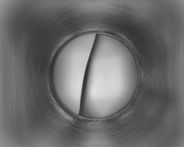 X0000063480725200601201024