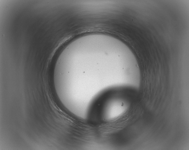 X0000063480731200601201024