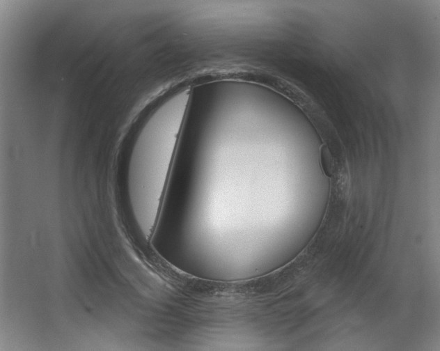 X0000063480732200601201024