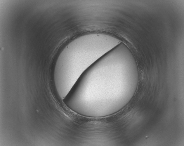 X0000063480733200601201024