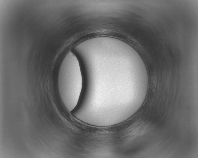 X0000063480734200601201024