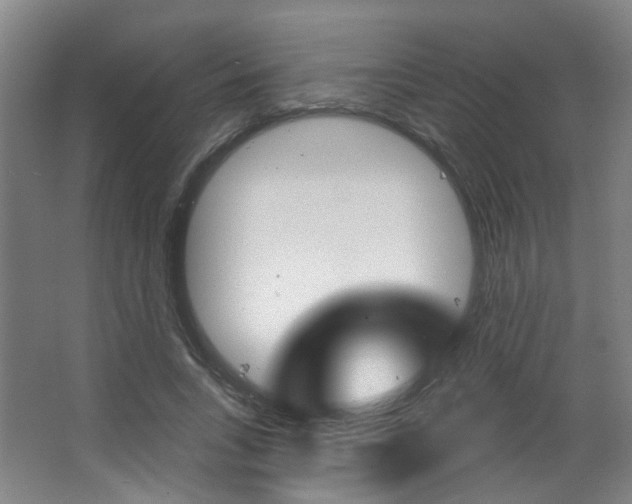 X0000063480735200601201024