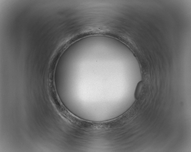 X0000063480736200601201024