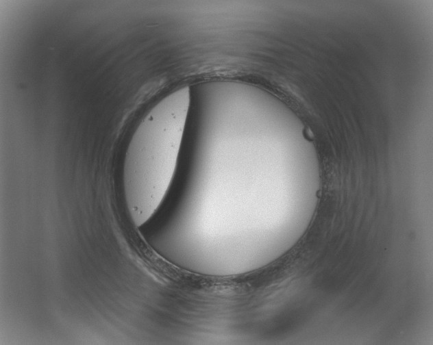 X0000063480738200601201024