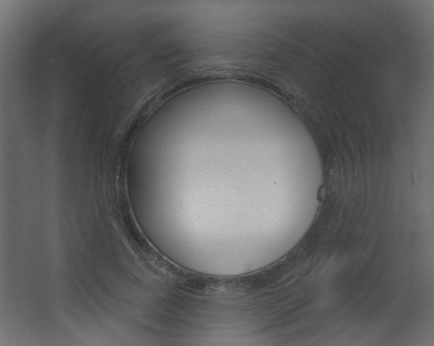 X0000063480739200601201024