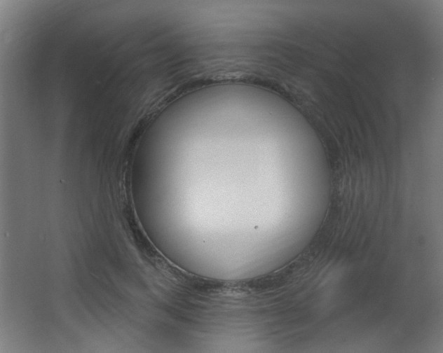 X0000063480743200601201024