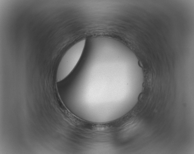 X0000063480746200601201024