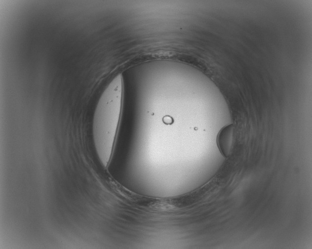 X0000063480747200601201024