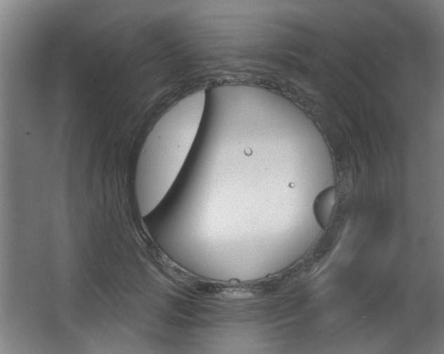 X0000063480749200601201024