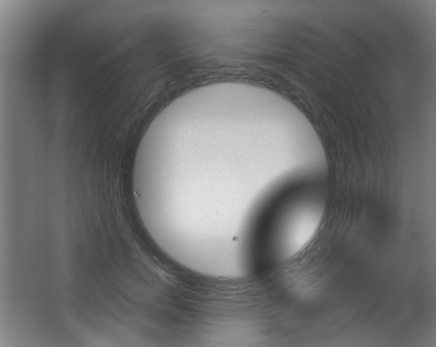 X0000063480750200601201024