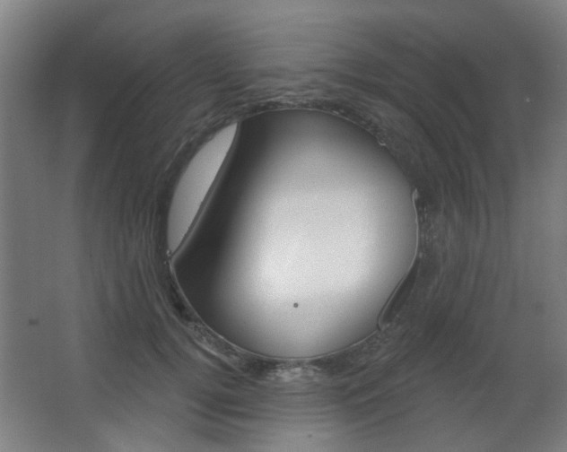 X0000063480752200601201024