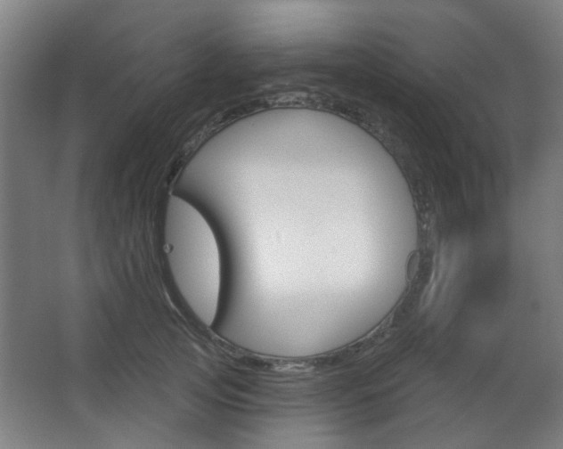 X0000063480753200601201024