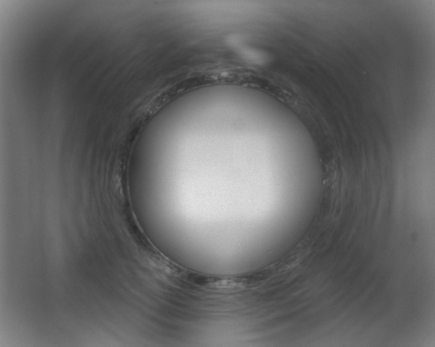 X0000063480754200601201024